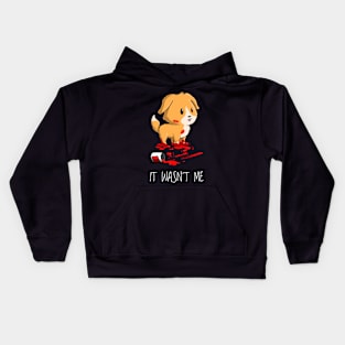 It Wasn't Me Kids Hoodie